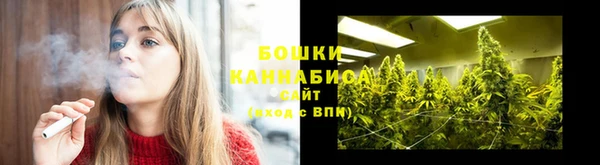 ПСИЛОЦИБИНОВЫЕ ГРИБЫ Баксан