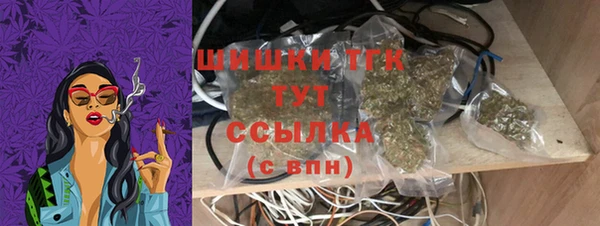 ПСИЛОЦИБИНОВЫЕ ГРИБЫ Баксан