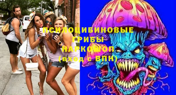 ПСИЛОЦИБИНОВЫЕ ГРИБЫ Баксан