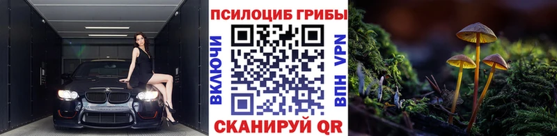 Псилоцибиновые грибы Psilocybe  наркошоп  Советск 
